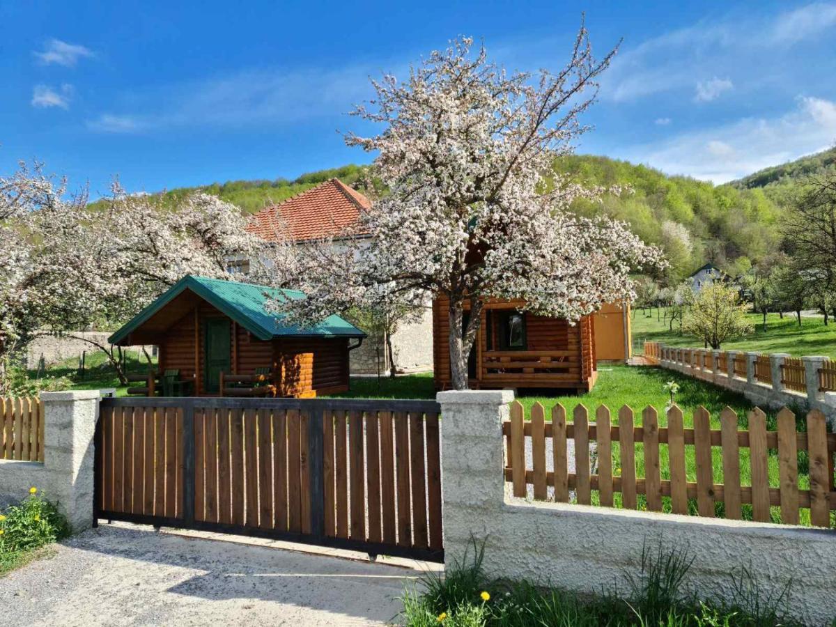 Guest House Green Garden Мойковац Экстерьер фото