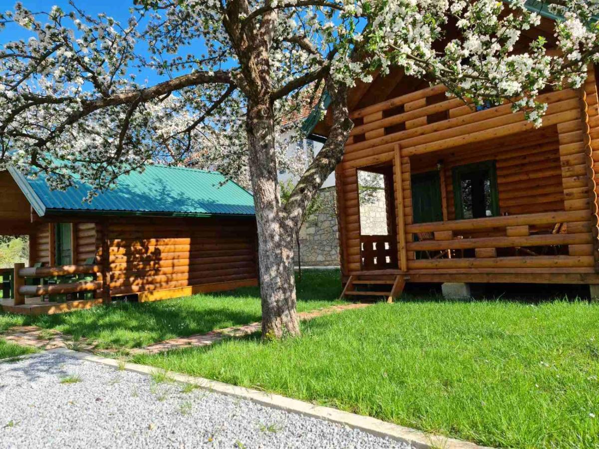 Guest House Green Garden Мойковац Экстерьер фото